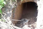 Dharmedra Pareek, India, bsf found 20 meter tunnel from pakistan in sambha j k, Dharmedra pareek