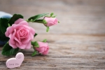 mother's day gift for new house, mothers day gifts if away from home, 8 ways to send love to your mom on mother s day even when you are away from home, Microwave