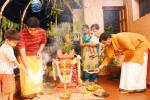 puja of tulsi, holy plant tulsi, tulsi puja, Holy plant tulsi