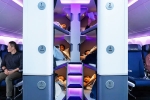 Air New Zealand Bunk Beds pictures, Air New Zealand Bunk Beds latest, air new zealand introduces bunk beds in economy flights, Dark