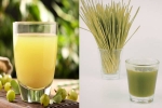 Amla Juice Vs Wheatgrass Juice, Amla Juice Vs Wheatgrass Juice breaking, amla juice vs wheatgrass juice for fatty liver, Fatty liver