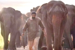 Aranya​ review, Aranya​ movie review and rating, aranya movie review rating story cast and crew, Vishnu vishal
