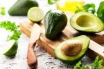 Avocado diet, Avocado latest updates, add avocado in your diet to lose weight, Delicious meal