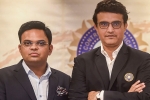 constitution, Supreme Court, supreme court to decide the future of bcci president saurav ganguly in 2 weeks, Saurav ganguly