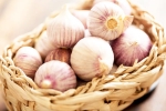 Chinese garlic problems, Chinese garlic ban, how to identify banned chinese garlic in the indian market, Smugglers Chinese garlic problems, Chinese garlic ban, how to identify banned chinese garlic in the indian market, Smugglers