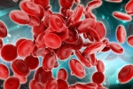 Blood Forming Stem Cells, Blood Forming Stem Cells, scientists generate blood forming stem cells, Pluripotent stem cells