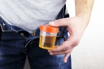 Hidden Kidney Cancer Risks tips, Hidden Kidney Cancer Risks new tips, spotting blood in urine can reveal hidden kidney cancer risks, Hidden