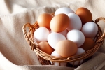 Brown Eggs Vs White Eggs healthy, Brown Eggs Vs White Eggs which is good, brown eggs vs white eggs which is healthy, Cholesterol Brown Eggs Vs White Eggs healthy, Brown Eggs Vs White Eggs which is good, brown eggs vs white eggs which is healthy, Cholesterol