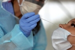 Frequent and rapid COVID-19 testing, Study about quick COVID Testing, study says quick testing can erase covid 19 within weeks, Asymptomatic patients