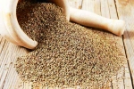 Chewing Ajwain dinner, Chewing Ajwain bad, can chewing ajwain after dinner relieve acidity, Spicy food