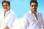 Bangarraju trailer talk, Bangarraju expectations, ten days worldwide collections of bangarraju, Soggade chinni nayana