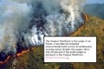 amazon rainforest 2019, amazon rainforest animals, in pictures devastating fires in amazon rainforest visible from space, Sao paulo