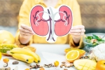 Healthy Kidneys breaking, Healthy Kidneys health tips, food items to include in your diet for healthy kidneys, Recipes