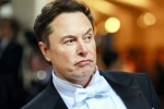 Elon Musk India visit dates, Elon Musk India visit delayed, elon musk s india visit delayed, Investments