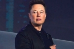 Elon Musk news, Elon Musk news, elon musk talks about cage fight again, Revenue