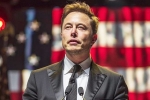 Musk reply on social media, Donald Trump, is elon musk in the trump cabinet, Elon musk vs donald trump