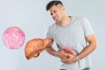 Fatty Liver for health, Fatty Liver health, fatty liver can be reversed in just one month, Health issues