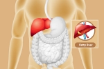 Fatty Liver changes, Fatty Liver changes, dangers of fatty liver, Lifestyle
