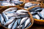 Fish hair loss, Fish kinds, eat this fish twice a week to stop hair loss, Lower