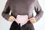 Gut Vs Skin news, Gut Vs Skin news, your gut decides about your skin, Ageing