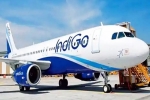 IndiGo flight Ethiopia Volcano news, IndiGo flight, indigo flight diverted as ethiopia volcano erupts after 10 000 years, Great IndiGo flight Ethiopia Volcano news, IndiGo flight, indigo flight diverted as ethiopia volcano erupts after 10 000 years, Great