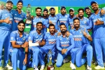 India Vs South Africa series, South Africa, india beat south africa to bag the odi series, Burger