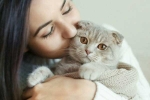 International Cat Day, cats pets, international cat day reasons why being a cat owner is good for health, Autism