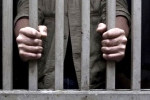 non resident keralites population, ministry of external affairs, keralites jailed abroad seek transfer to indian jails, White collar jobs
