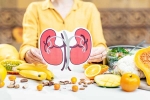 Kidneys Health right food, Kidneys Health doctors, how to keep your kidneys healthy, Microwave