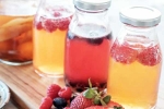 Kombucha and Fermented Foods benefits, Kombucha and Fermented Foods, health benefits of kombucha and fermented foods, Immunity
