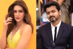 Vamshi Paidipally, Kriti Sanon news, kriti sanon to romance vijay in his next, Kadi