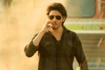 Guntur Kaaram budget, Guntur Kaaram postponed, major changed for mahesh babu s guntur kaaram, Pooja hegde
