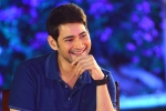 Mahesh Babu, Maharshi collections, mahesh follows innovative strategies for maharshi, Bharat ane nenu