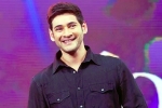Mahesh Babu, Sarkaru Vaari Paata news, bollywood beauty for mahesh babu, Bharat ane nenu