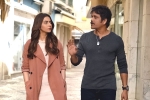 Manmadhudu 2 rating, Manmadhudu 2 Movie Tweets, manmadhudu 2 movie review rating story cast and crew, Playboy Manmadhudu 2 rating, Manmadhudu 2 Movie Tweets, manmadhudu 2 movie review rating story cast and crew, Playboy