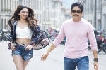 Manmadhudu 2, Manmadhudu 2 budget, manmadhudu 2 trailer is packed with entertainment, Rahul ravindran