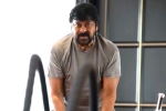 Chiranjeevi latest updates, Chiranjeevi, megastar chiranjeevi is back to work, Anushka