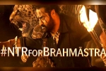 Brahmastra release date, Ranbir Kapoor, ntr turns chief guest for brahmastra event, Back pain