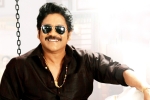 Bangarraju release news, Bangarraju film updates, nag s bangarraju to have a special dancing number, Shata