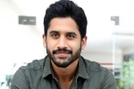Naga Chaitanya upcoming movies, Naga Chaitanya movies, naga chaitanya coming up with a strong lineup of films, Soggade chinni nayana