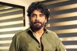Nagarjuna Personal Rights updates, Nagarjuna Personal Rights breaking, delhi high on nagarjuna s personal rights, Amitabh bachchan