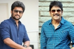 Nagarjuna next film, Ashwini Dutt, nagarjuna and nani s multi starrer, Yuddham Nagarjuna next film, Ashwini Dutt, nagarjuna and nani s multi starrer, Yuddham