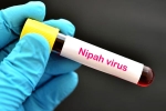 suspected Nipah Virus, Nipah Virus symptoms, nipah virus is back again two deaths registered, Us department of state suspected Nipah Virus, Nipah Virus symptoms, nipah virus is back again two deaths registered, Us department of state