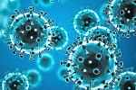 Coronavirus, Tollywood, omicron fear for tollywood, Coronavirus india
