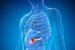 Pancreatic Cancer symptoms, Pancreatic Cancer latest, how to protect yourself from pancreatic cancer, Easy