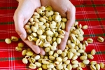 Pistachios news, Pistachios rich in proteins, pistachios are a perfect protein snack, Love