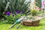 Plants that attract Snakes names, Snakes Vs Plants, five plants that attract snakes at home, Snakes
