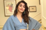 Pawan Kalyan, Dil Raju, pooja hegde in pink remake, Taapsee Pawan Kalyan, Dil Raju, pooja hegde in pink remake, Taapsee