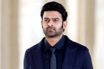 Prabhas new movie title, Prabhas and Maruthi film, new updates of prabhas and maruthi film, Boman irani Prabhas new movie title, Prabhas and Maruthi film, new updates of prabhas and maruthi film, Boman irani