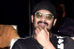 Prabhas and Maruthi Film new updates, Prabhas and Maruthi Film release date, prabhas next film launched, Raja deluxe